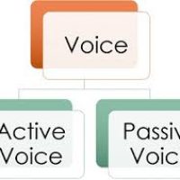 Grade 7 English FAL – Active and passive voice